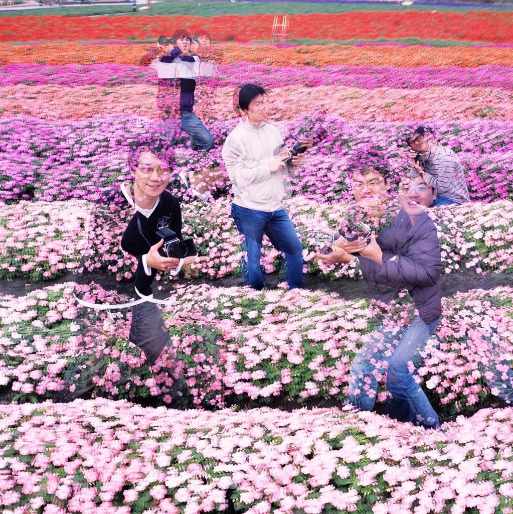 Fujifilm Provia 100F - 120 Film - Analogue Wonderland - 4