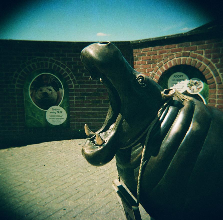 Holga Film Camera - with Flash - Analogue Wonderland - 2