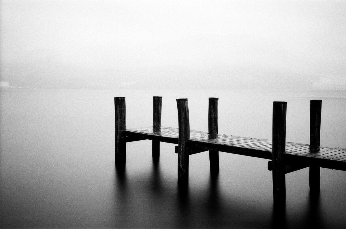 Ilford Delta 100 - 35mm Film - Analogue Wonderland - 2