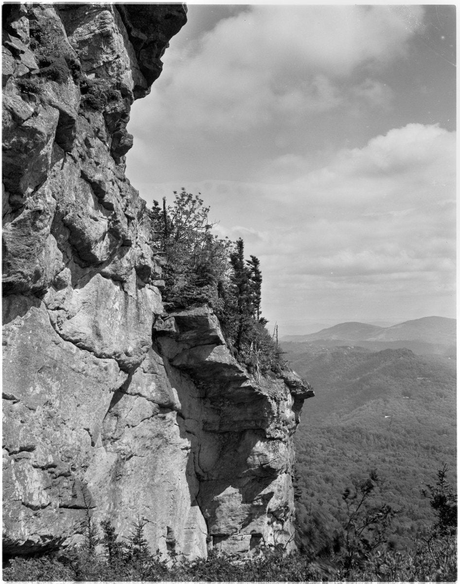 Ilford Delta 100 - 4x5 Sheet Film - Analogue Wonderland - 2