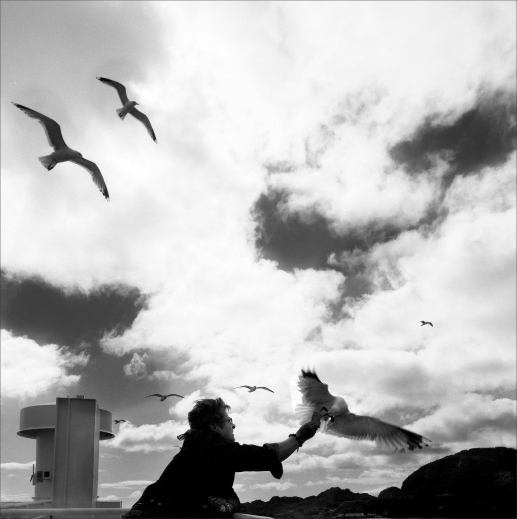 Ilford Delta 100 - 120 Film - Analogue Wonderland - 2