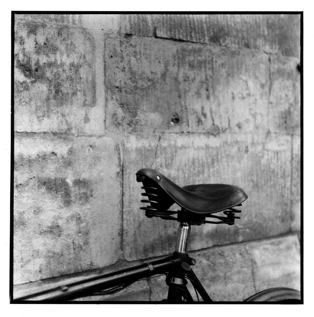 Ilford Delta 3200 - 120 Film - Analogue Wonderland - 2