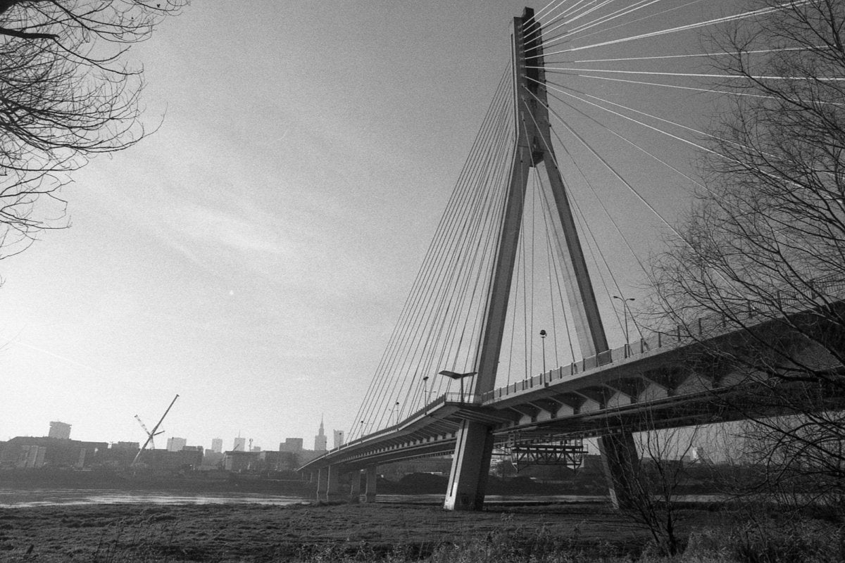 Ilford Delta 400 - 35mm Film - Analogue Wonderland - 4