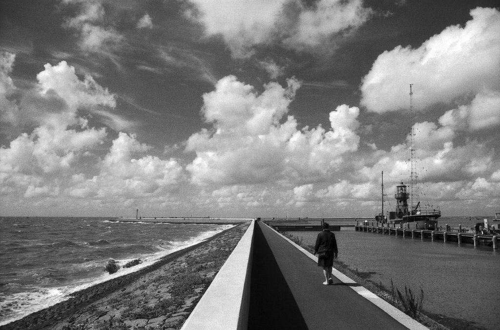 Ilford FP4 Plus - 35mm Film - Analogue Wonderland - 2