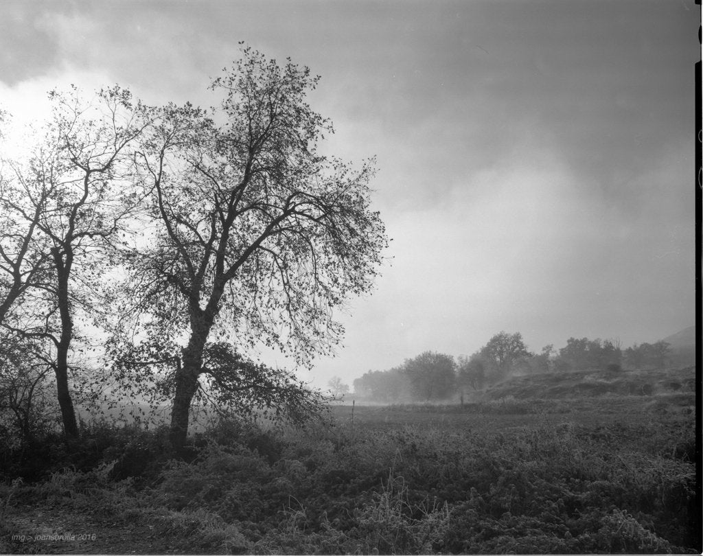 Ilford FP4 Plus - 4x5 Sheet Film - 25 sheets - Analogue Wonderland - 2