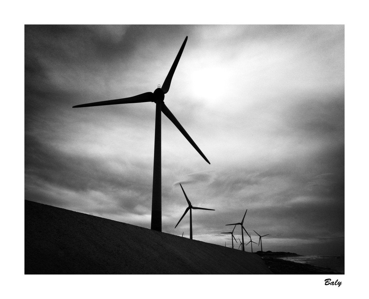 Ilford HP5 Plus - 8x10 Sheet Film - Analogue Wonderland - 2