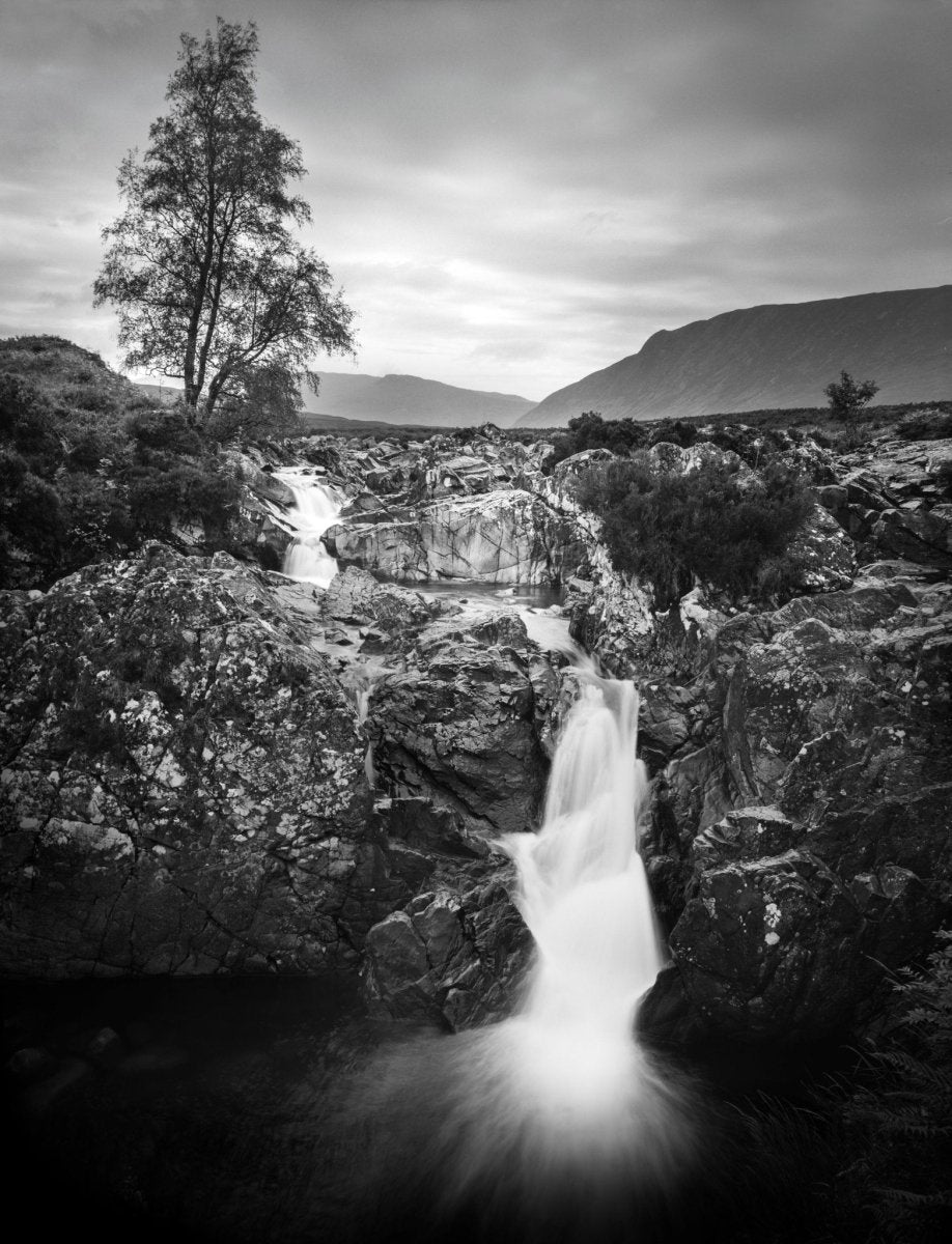 Ilford Ortho Plus 80 - 35mm Film - Analogue Wonderland - 2