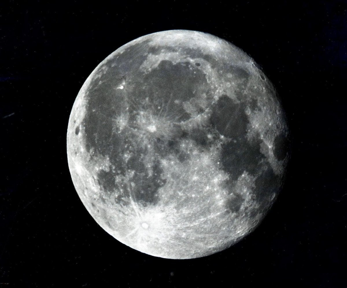 J Lane Speed Plates - 4x5 Plate Film - ISO 25 - Analogue Wonderland - 2