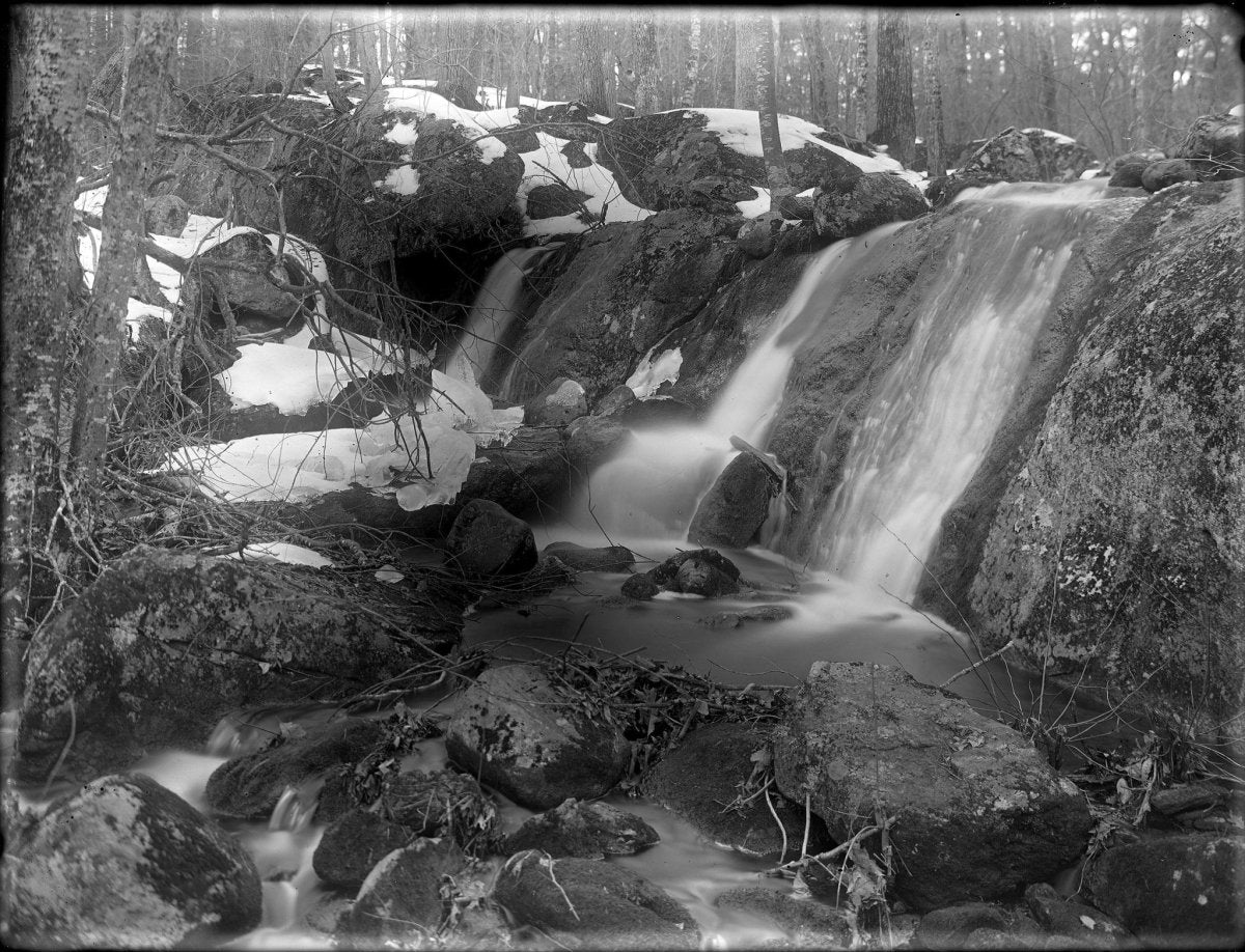 J Lane Speed Plates - Quarter Plate Film - ISO 25 - Analogue Wonderland - 2