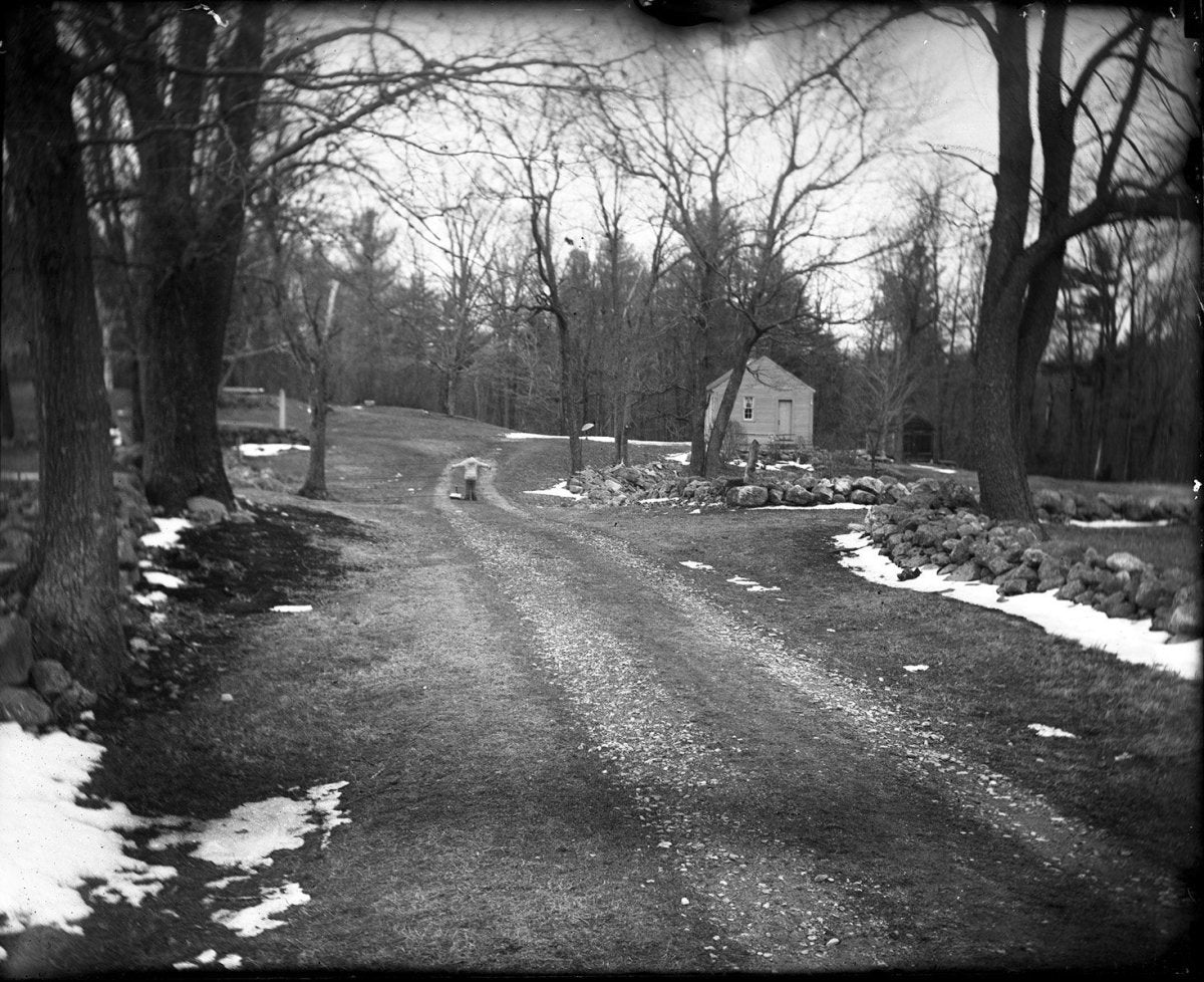 J Lane Speed Plates - Sixth Plate Film - ISO 25 - Analogue Wonderland - 3