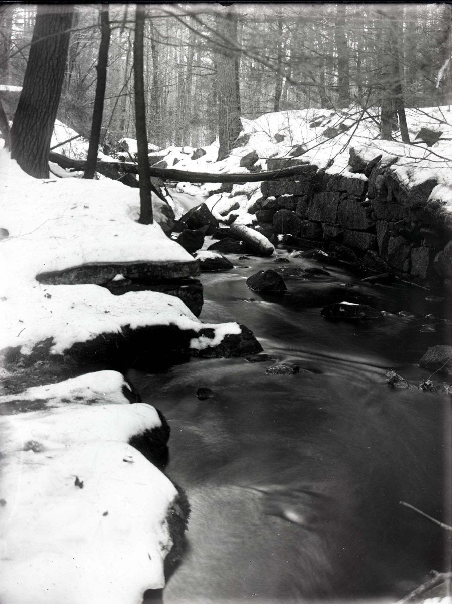 J Lane Speed Plates - Sixth Plate Film - ISO 25 - Analogue Wonderland - 2