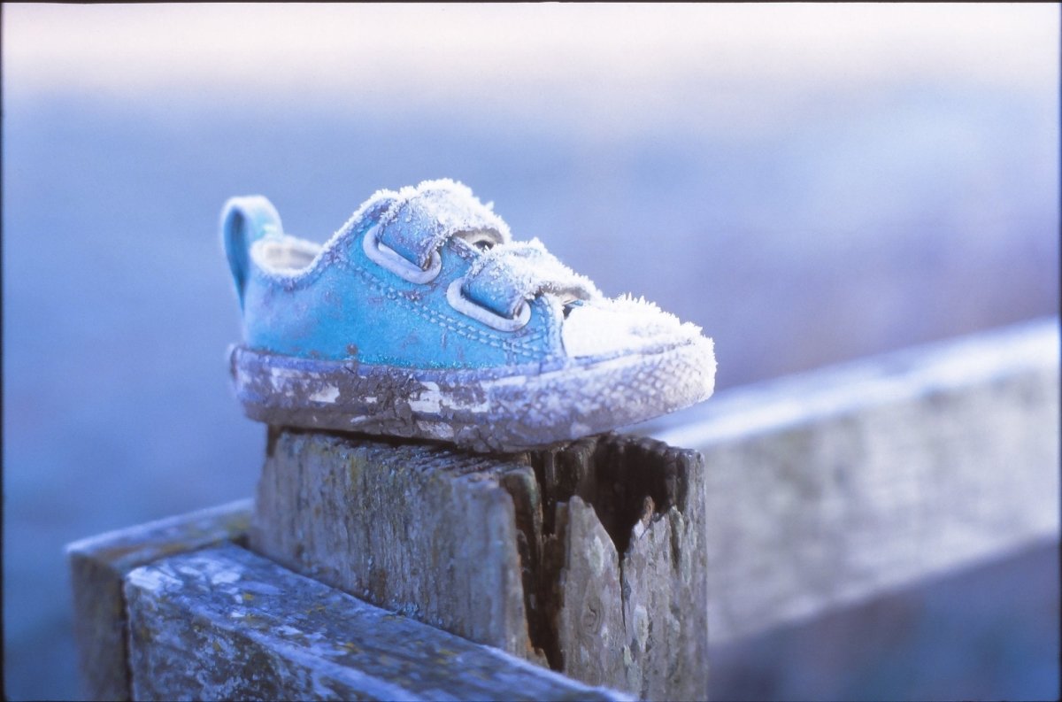 Kodak Ektachrome E100 - 35mm Film - Analogue Wonderland - 2