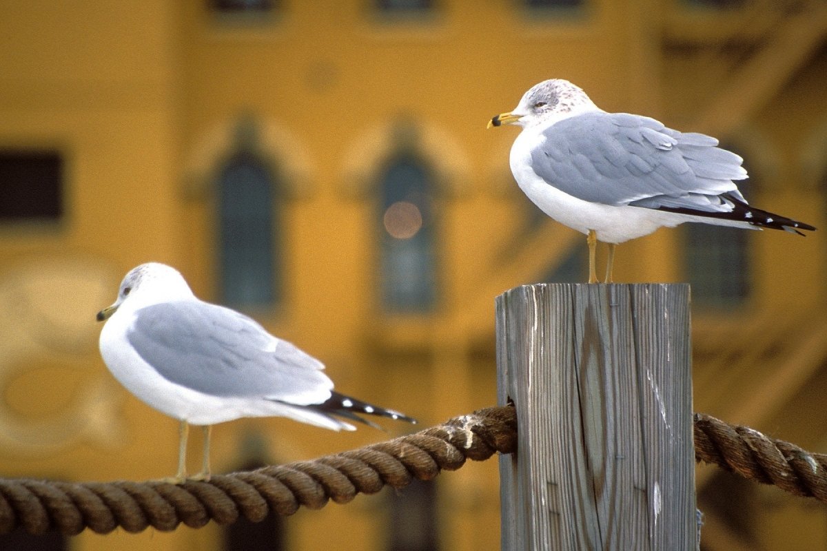 Kodak Ektachrome E100 - 4x5 Sheet Film - Analogue Wonderland - 2