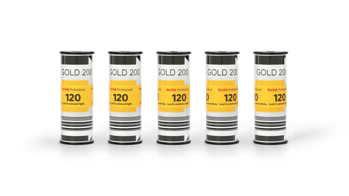 Kodak Gold 120 Film - PRE-ORDER - Analogue Wonderland - 5