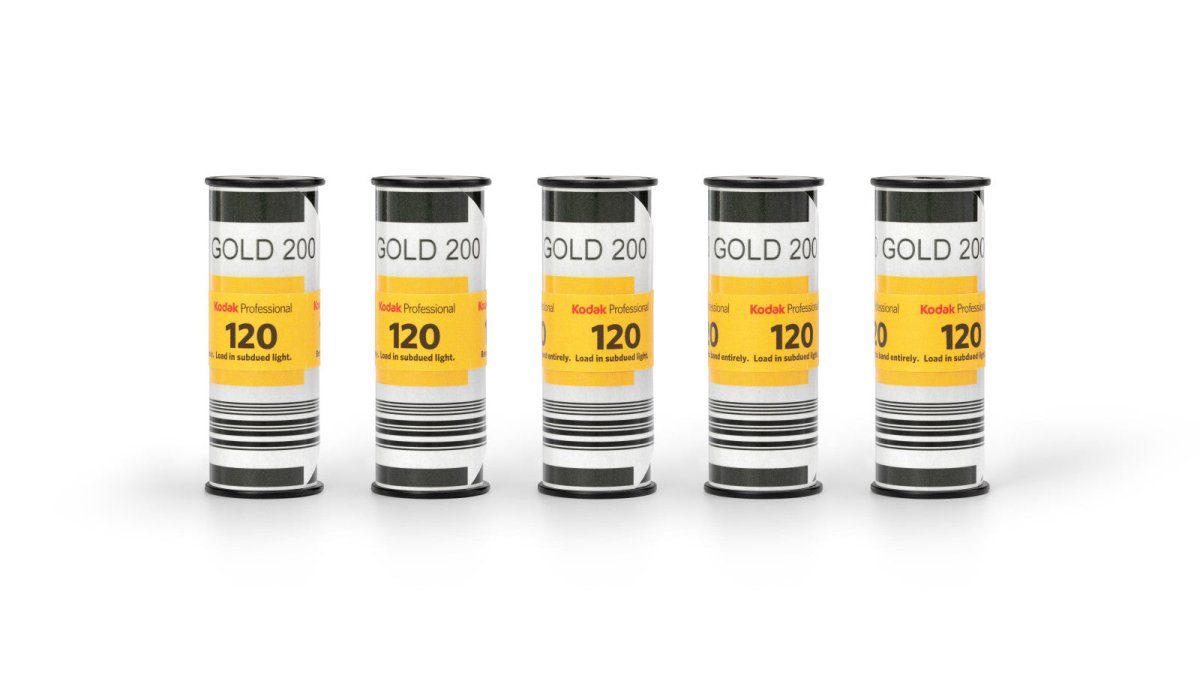Kodak Gold 120 Film - PRE-ORDER - Analogue Wonderland - 5