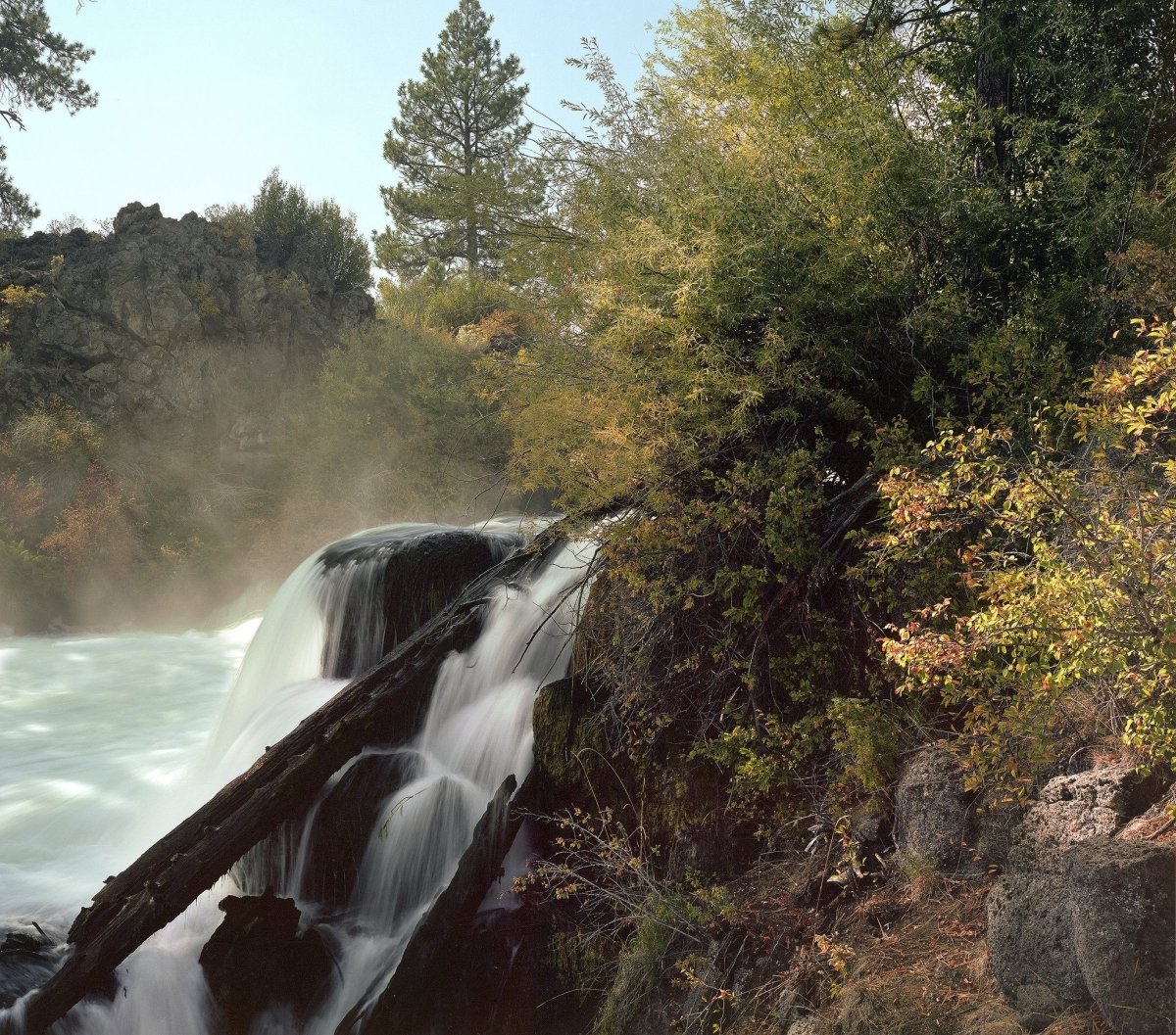 Kodak Portra 160 - 4x5 Sheet Film - Analogue Wonderland - 2