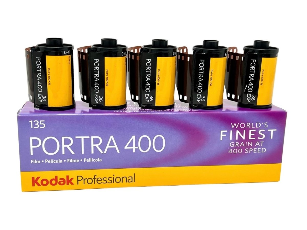 Kodak professional film portra400 4X5 - フィルム