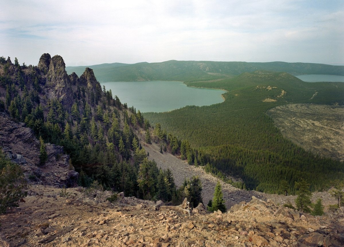 Kodak Portra 400 - 4x5 Sheet Film - Analogue Wonderland - 2