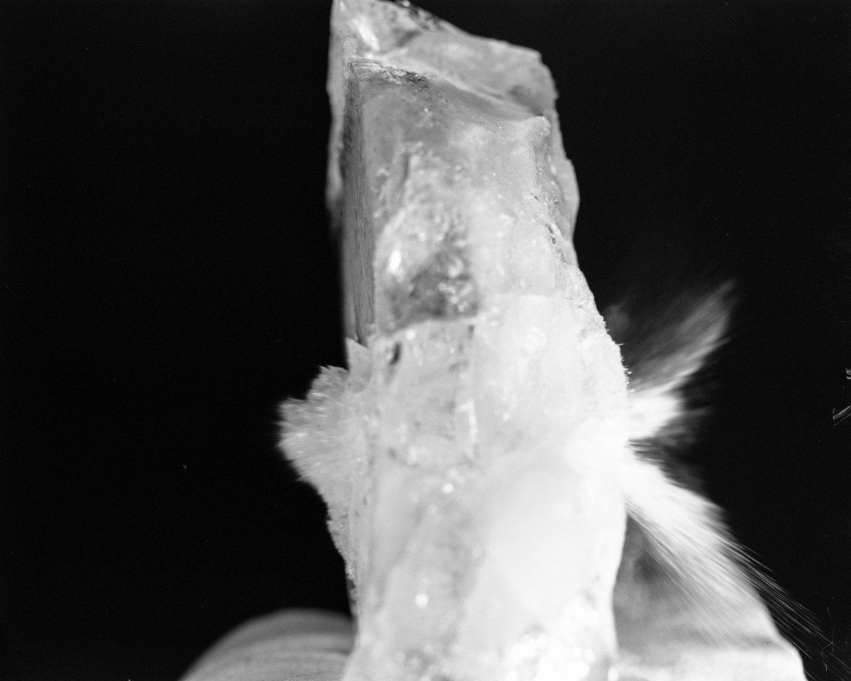 Kodak Tri-X 320 - 4x5 Large Format Film - Analogue Wonderland - 2