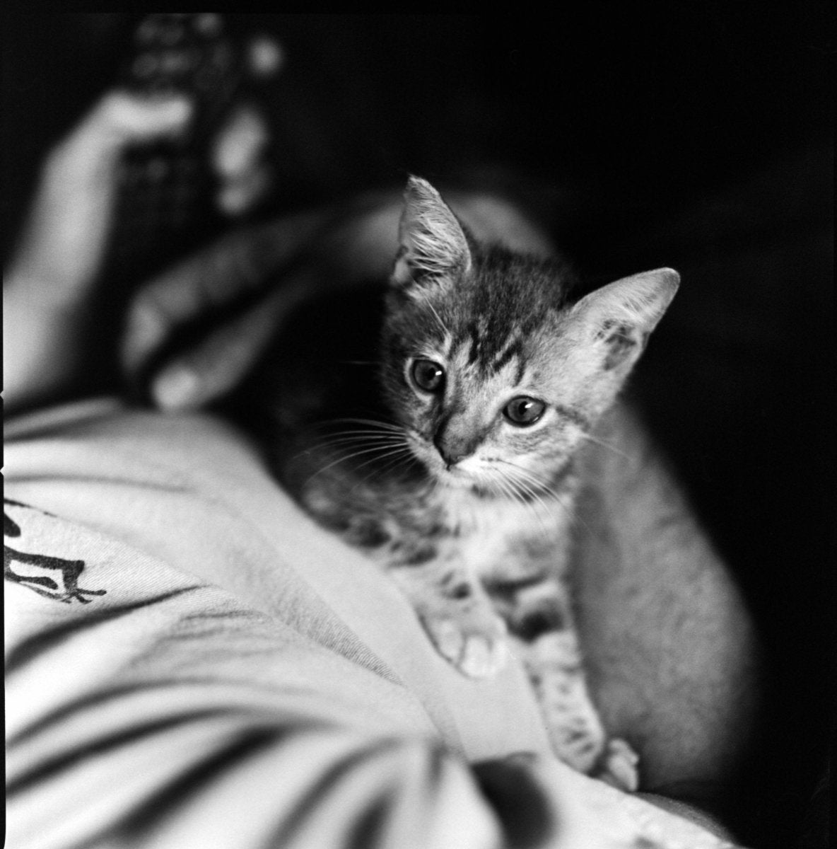 Kodak Tri-X 400 - 120 Film - Analogue Wonderland - 2