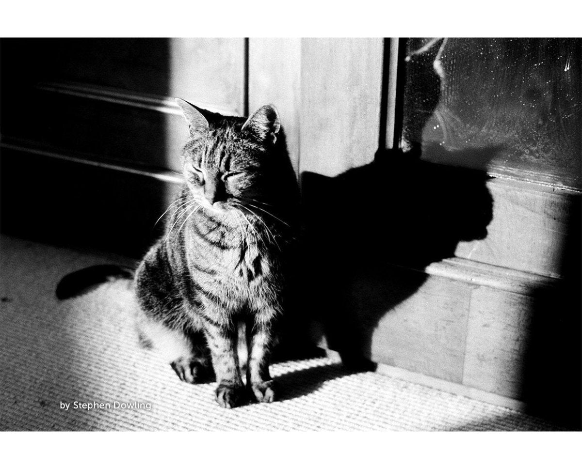 Kosmo Foto Mono 100 - 35mm Film - Analogue Wonderland - 2