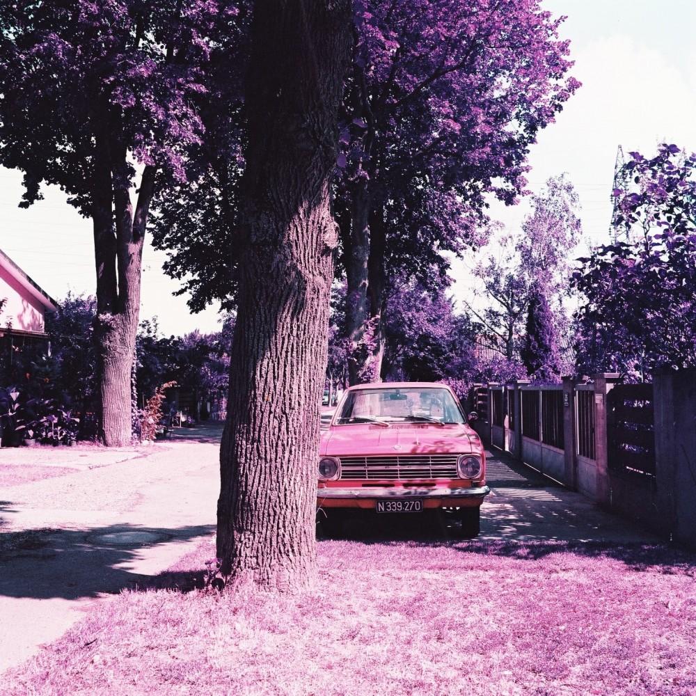 Lomography Purple - 120 Film - Analogue Wonderland - 2