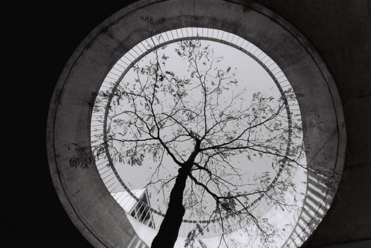 Lomography Berlin 400 - 35mm Film - Analogue Wonderland - 2