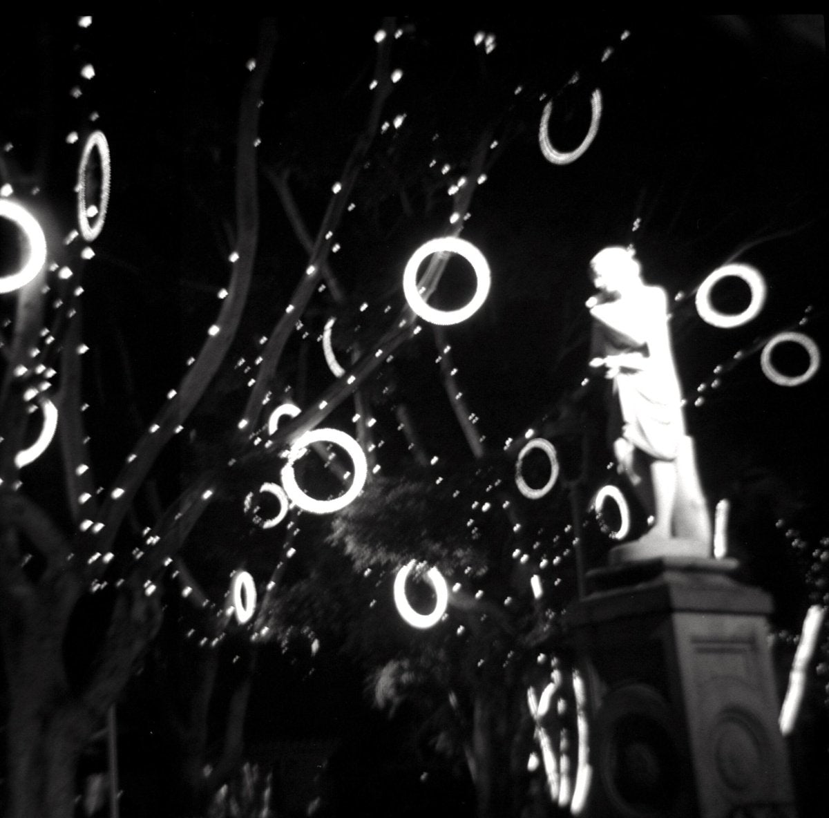 Lomography Earl Grey 100 - 120 Film - Analogue Wonderland - 3