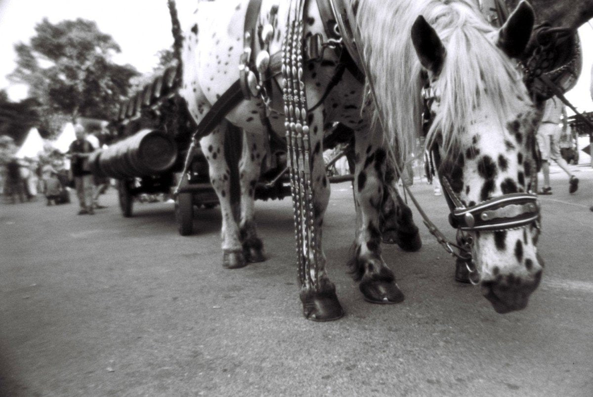 Lomography Lady Grey 400 - 35mm Film - Analogue Wonderland - 2