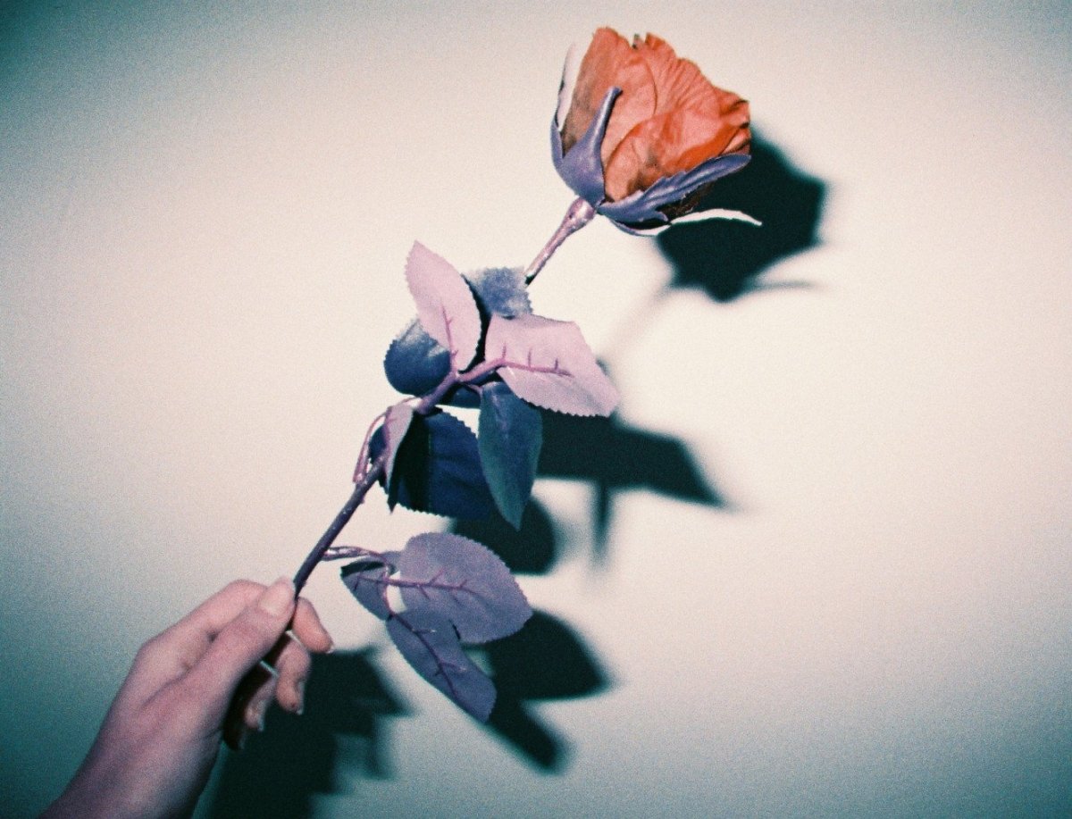 Lomography Purple - 110 Film - Analogue Wonderland - 2