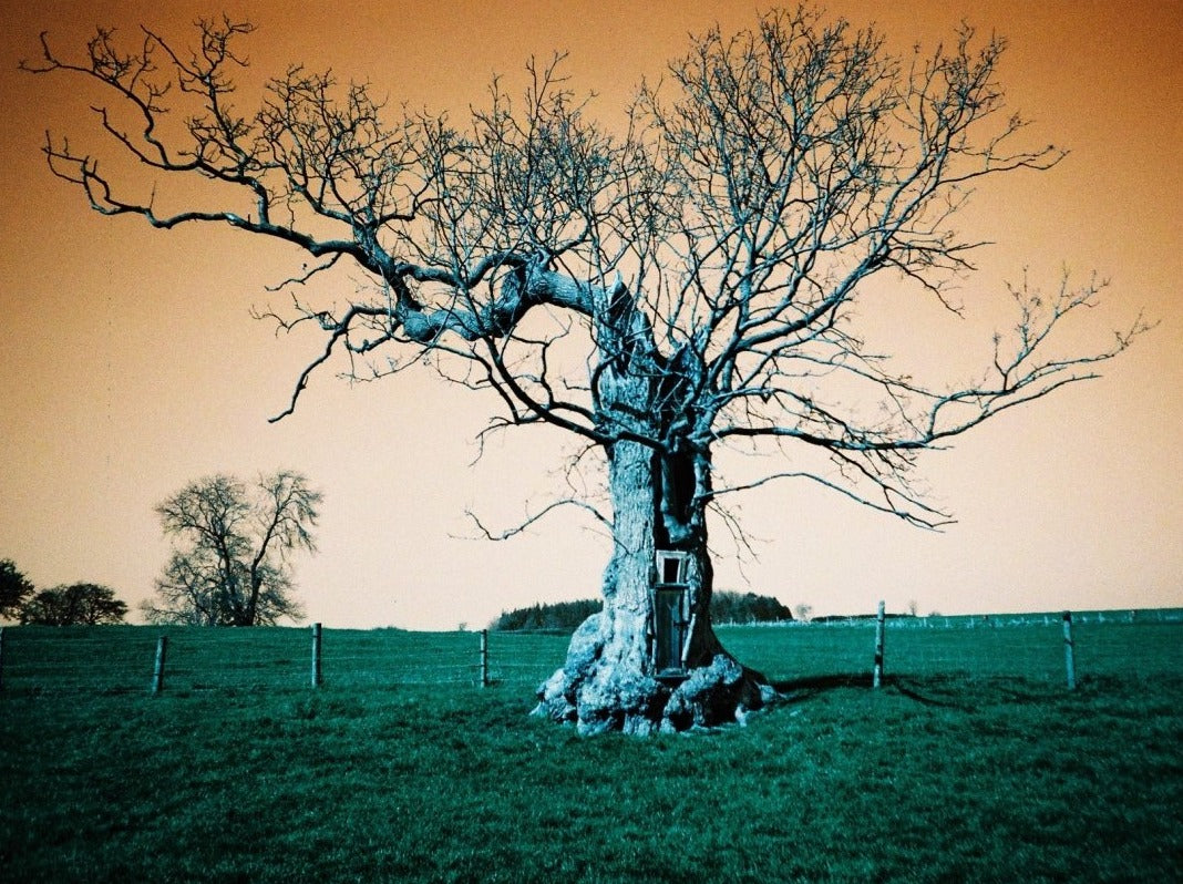 Lomography Turquoise - 35mm Film - Analogue Wonderland - 3