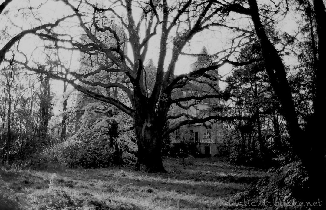 Orwo Wolfen UN54 - 35mm Film - Analogue Wonderland - 2