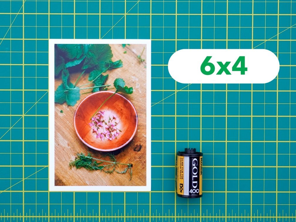 Professional Photo Prints - Analogue Wonderland - 3