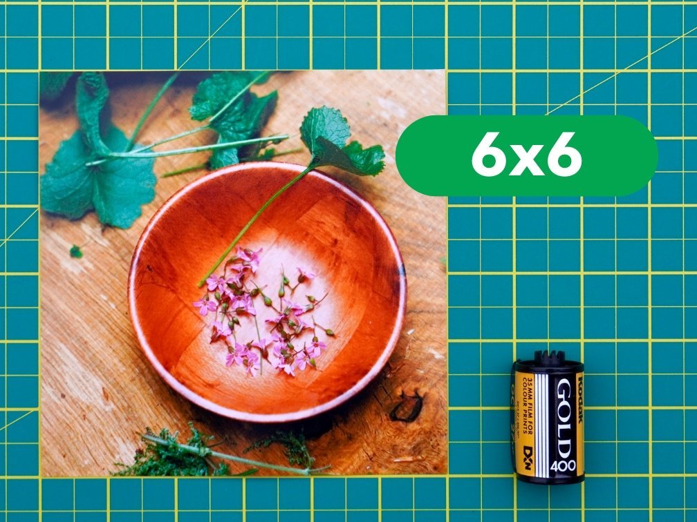 Professional Photo Prints - Analogue Wonderland - 8