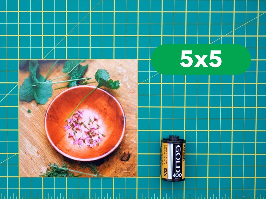 Professional Photo Prints - Analogue Wonderland - 4
