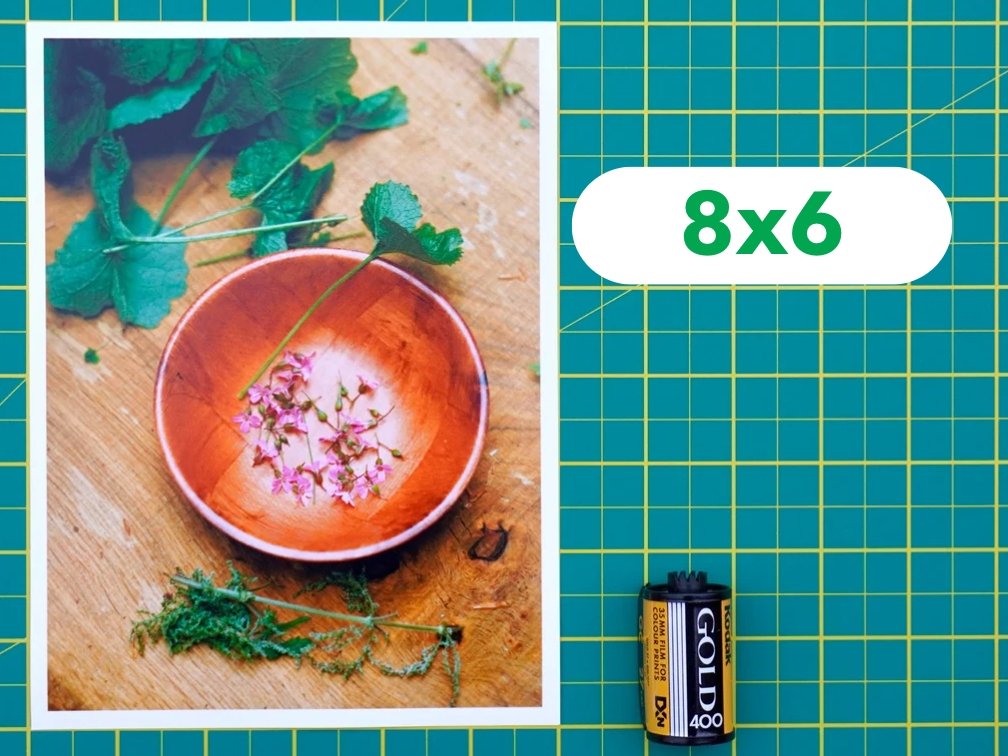 Professional Photo Prints - Analogue Wonderland - 11