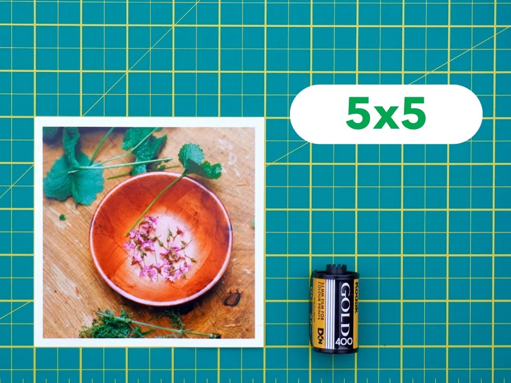 Professional Photo Prints - Analogue Wonderland - 5