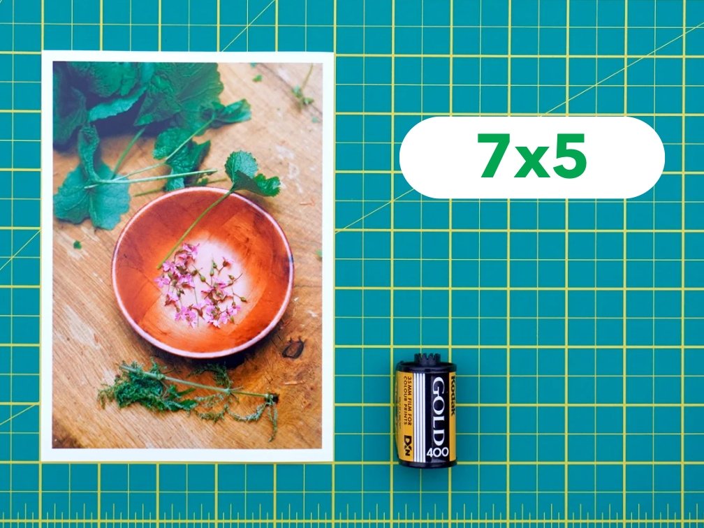 Professional Photo Prints - Analogue Wonderland - 7