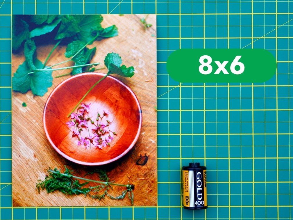 Professional Photo Prints - Analogue Wonderland - 10