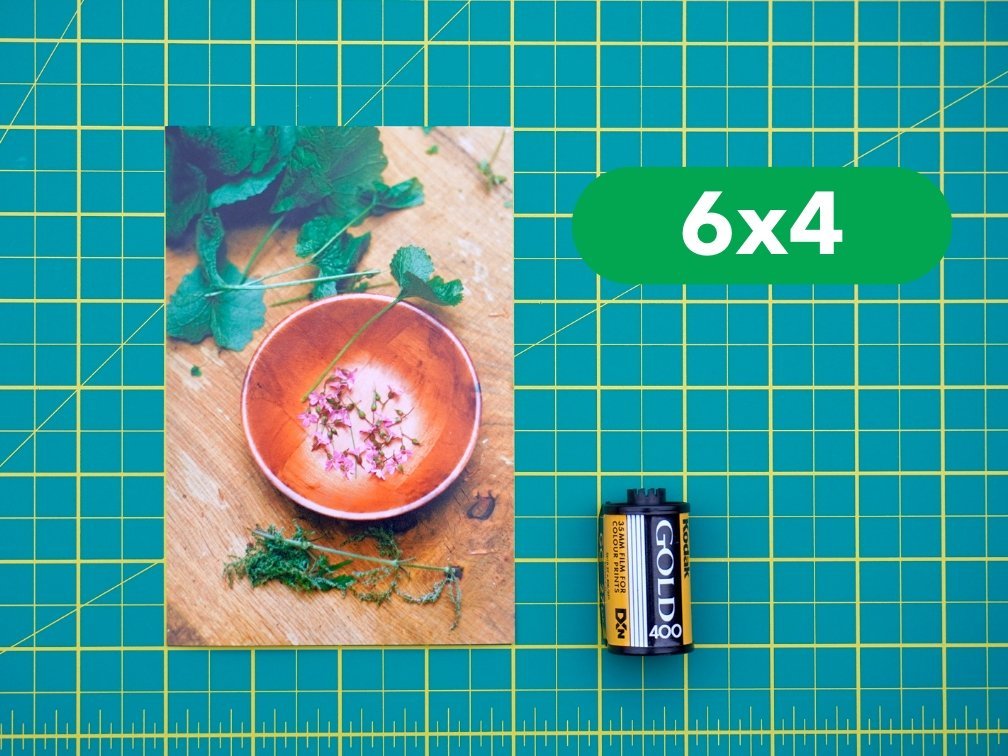 Professional Photo Prints - Analogue Wonderland - 2