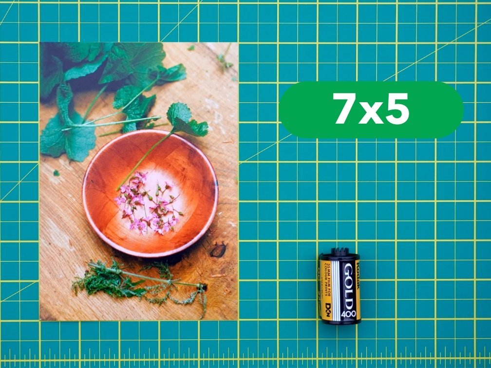 Professional Photo Prints - Analogue Wonderland - 6