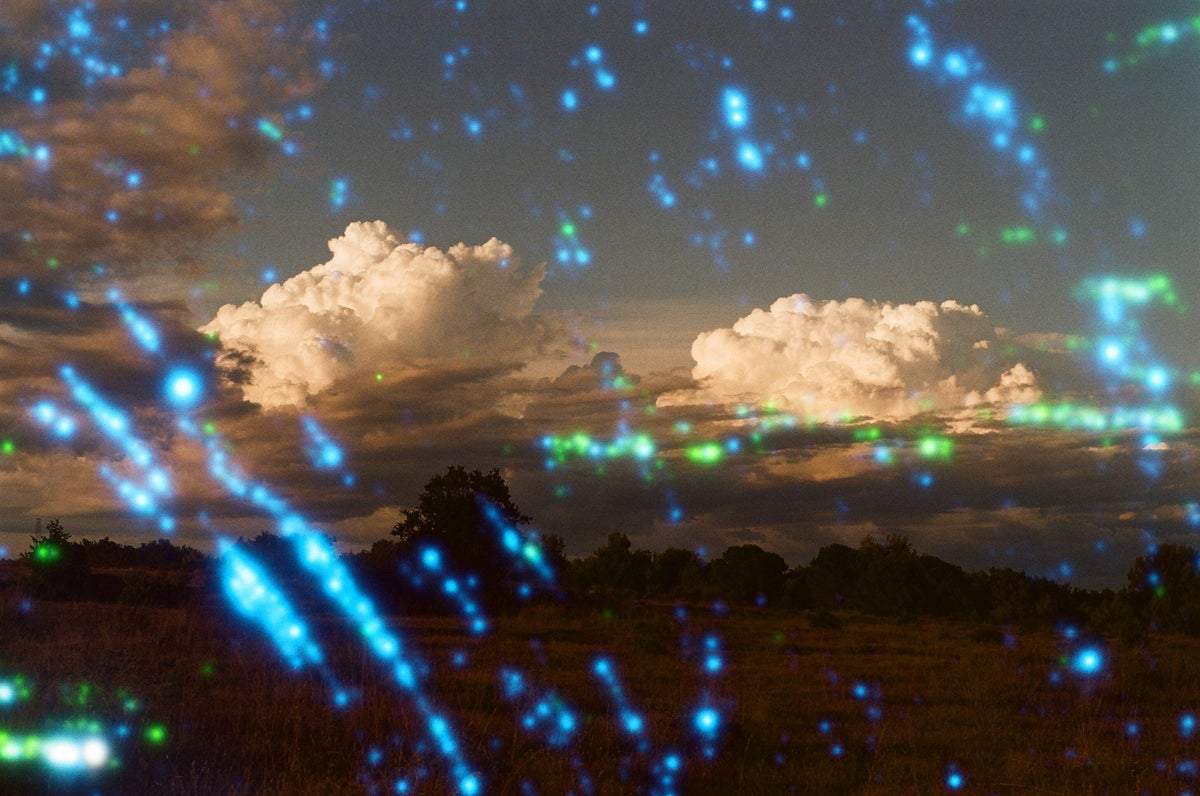 Revolog Nebula - 35mm Film - Analogue Wonderland - 5