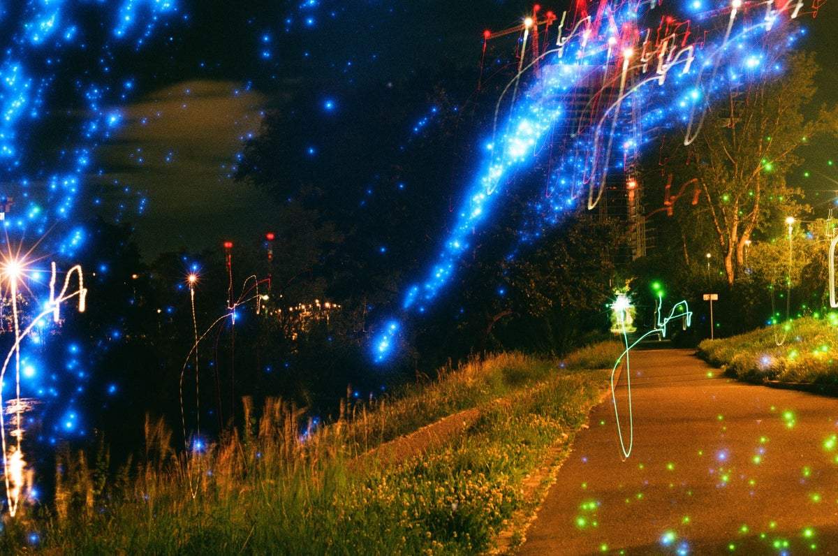 Revolog Nebula - 35mm Film - Analogue Wonderland - 4