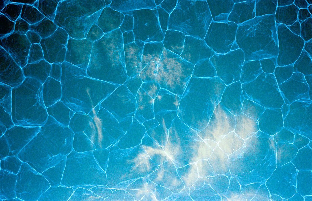 Revolog Plexus - 35mm Film - Analogue Wonderland - 2