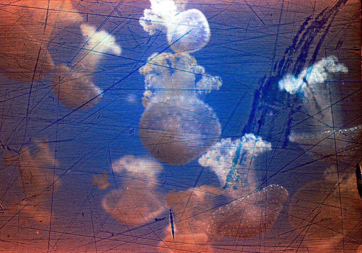 Revolog Streak - 35mm Film - Analogue Wonderland - 2