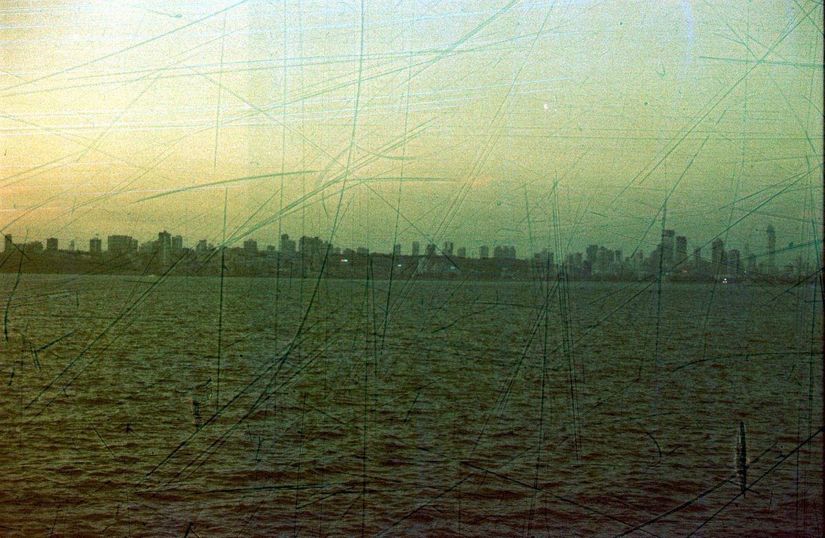 Revolog Streak - 35mm Film - Analogue Wonderland - 4