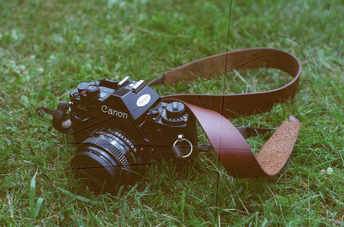 Revolog Streak - 35mm Film - Analogue Wonderland - 3