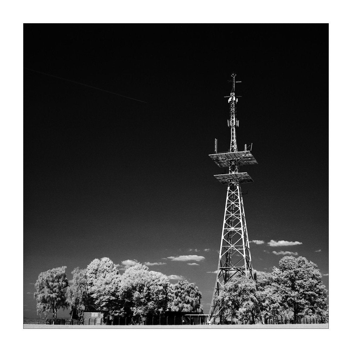 Rollei Infrared - 120 Film - Analogue Wonderland - 2