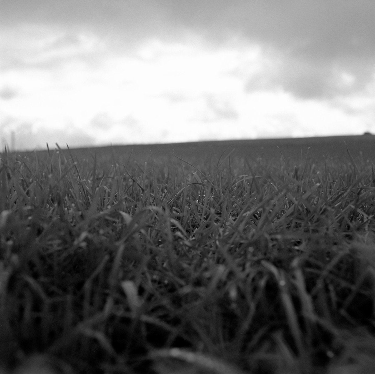 Rollei Retro 400S - 120 Film - Analogue Wonderland - 4
