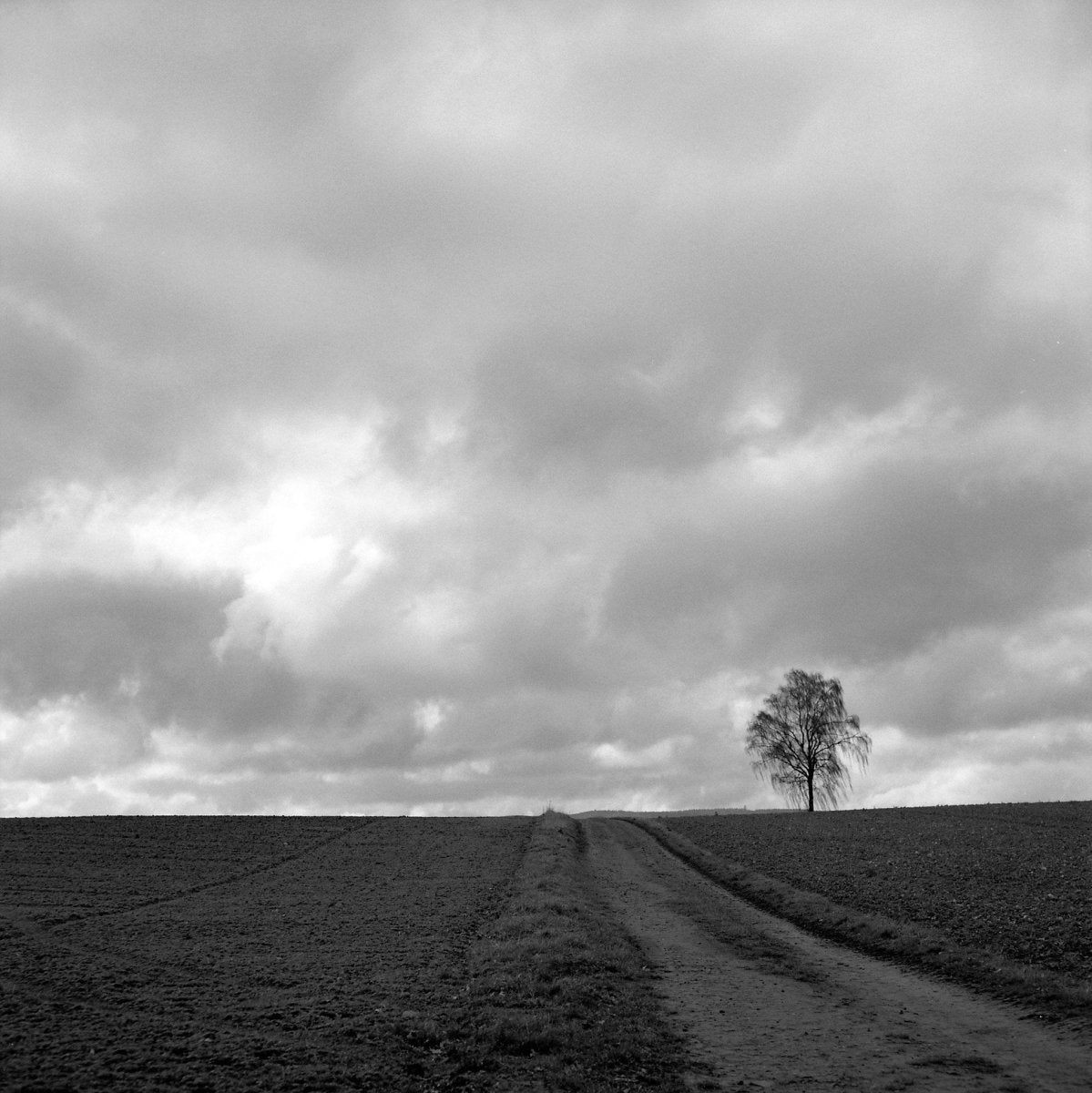 Rollei Retro 400S - 120 Film - Analogue Wonderland - 3